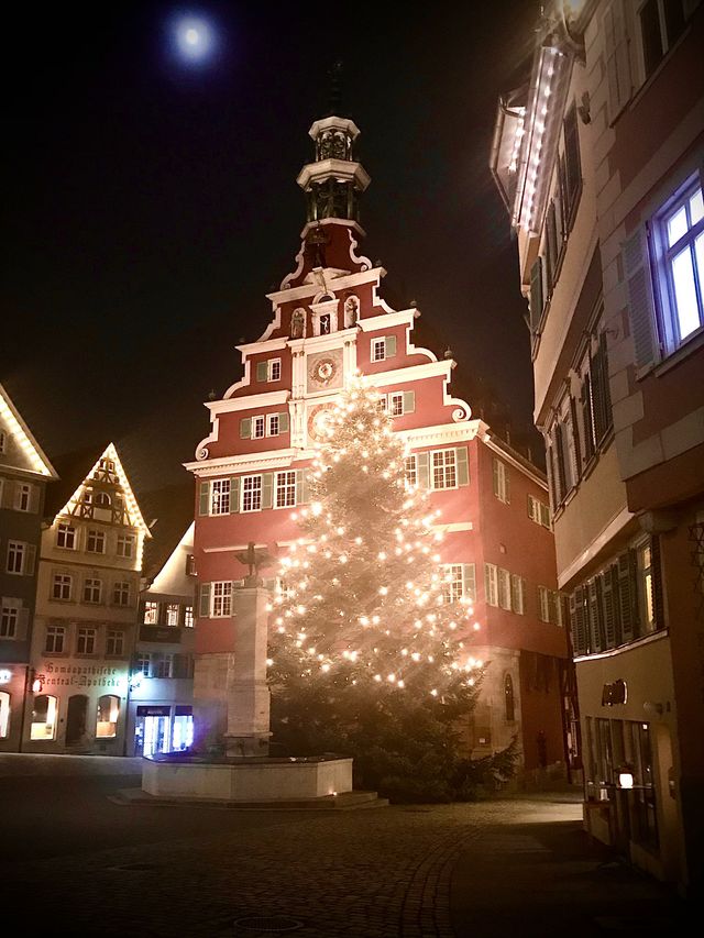 Grüne wünschen frohe Weihnachten